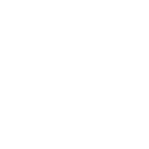 14.ibeconomia 50x500