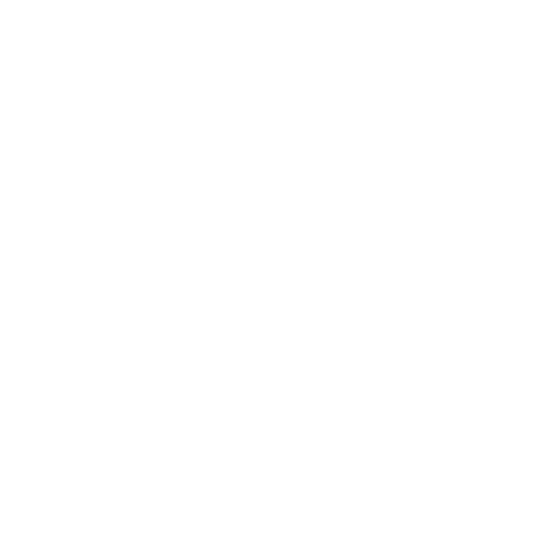 14.ibeconomia 50x500
